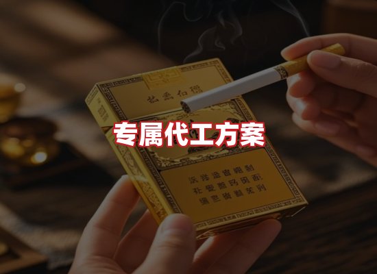 专业团队